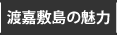 渡嘉敷島の魅力
