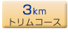 3km�g�����R�[�X